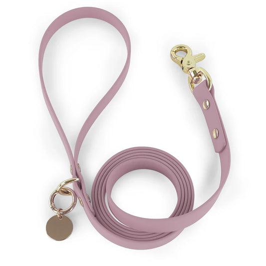 KTX-634259 Durable Multi-Colour Waterproof PVC Coated Webbing Dog Leash Set with Zinc Alloy Buckle
