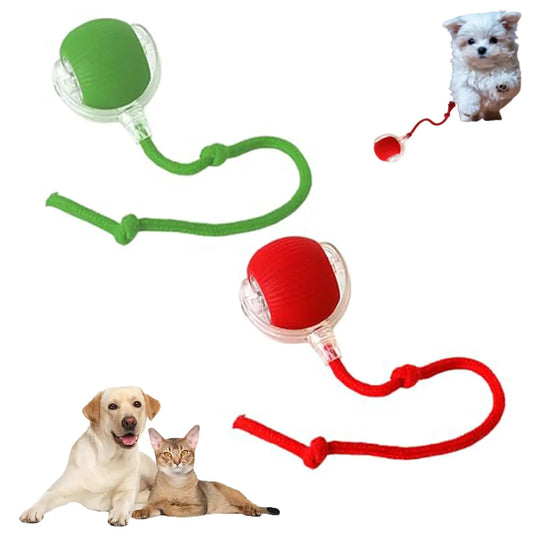 KTX-210579 Interactive Motion Activated Cat Ball Toy - USB Rechargeable Self-Rolling Toy for Cats
