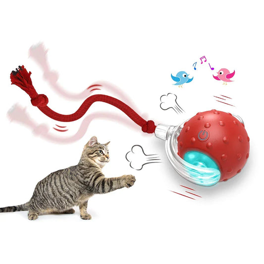 KTX-325843 Automatic Interactive Cat Toy Ball with Fast Rolling and Chirping for Indoor Play