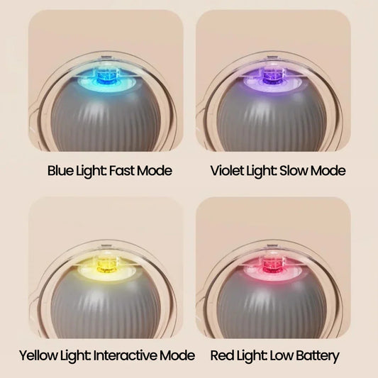 KTX-210579 Interactive Motion Activated Cat Ball Toy - USB Rechargeable Self-Rolling Toy for Cats