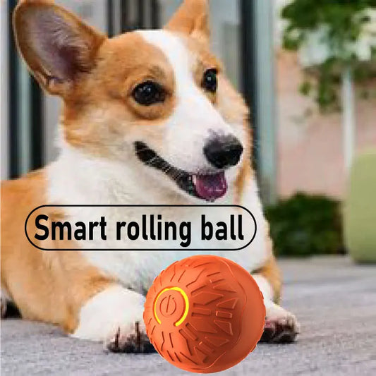 KTX-273811 Interactive Rubber Dog Toy Ball for Engaging Outdoor Play