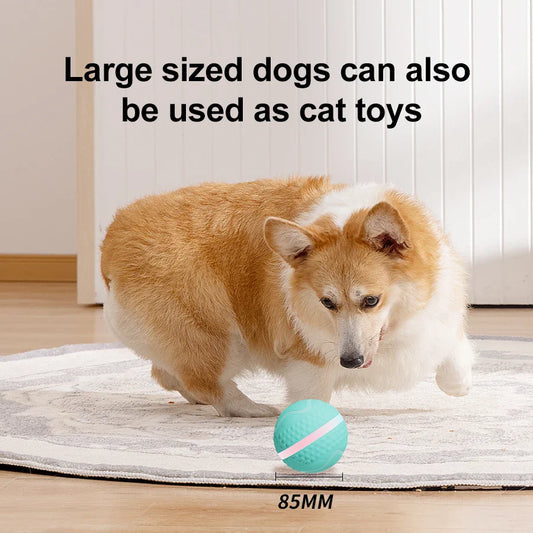 KTX-192467 Interactive USB Rechargeable TPU Pet Dog Chew Toy Ball