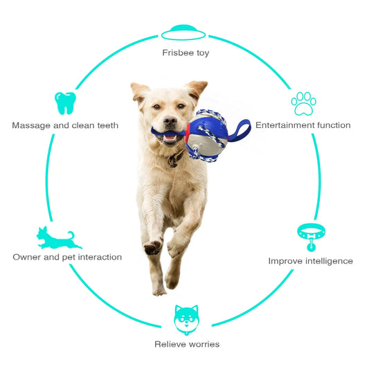 KTX-651219 Durable Wear-resistant and Bite-resistant Interactive Dog Chew Toys