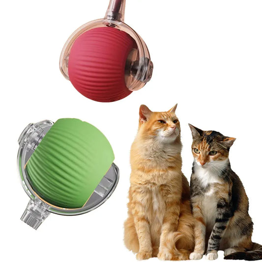 KTX-522451 Vibrant Silicone Cat Toy with Feather Teaser, Long Tail and Rolling Claw Ball for Kittens