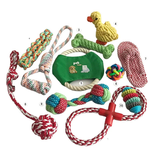 KTX-356307 Durable 12-Pack Interactive Chew Dog Toy Set for Active Play