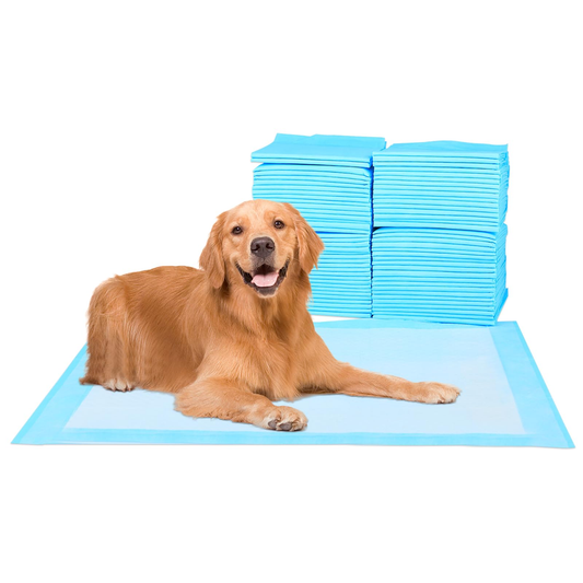 JMT-659274 40-Pack 30x30 Inch Disposable Puppy Training Pads with Quick Absorbency and Odor Control