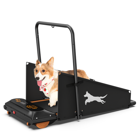 JMT-744074 Pet Treadmill for Small to Medium Dogs - Ideal for Running and Walking Sessions