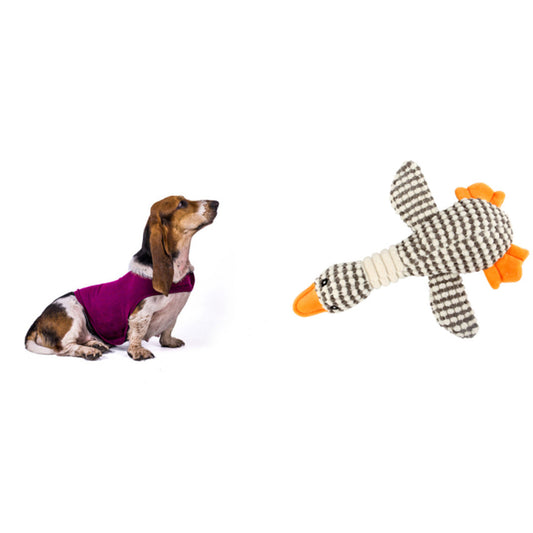 Anxiety Jacket Vest Medical Treatment To Calm Down Cat Clothes