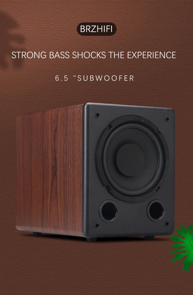 KTX-154579 BRZHIFI SW-6 6.5 Inch Subwoofer 100W Pure Bass Speaker for Home Audio and Theatre Systems