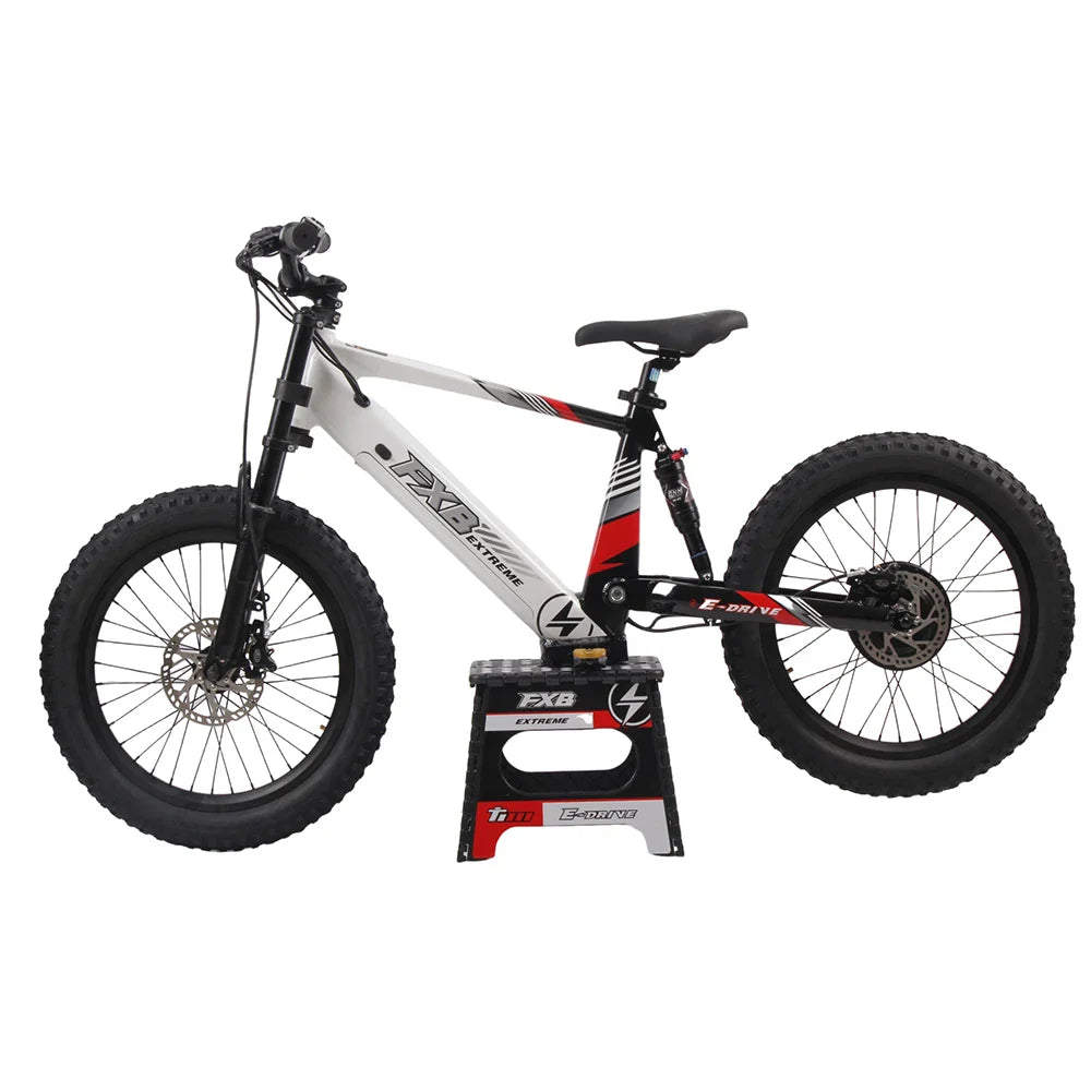 KTX-458963 20-Inch Kids Electric Balance Dirt Bike with 800W/1200W Motor and Hydraulic Brakes