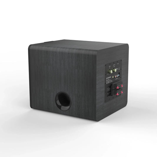 KTX-695827 150W Active 10 Inch Subwoofer Speaker with Built-in Amplifier for Enhanced Sound Quality