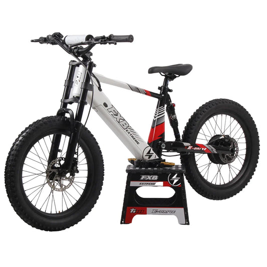KTX-377619 20 Inch Fat Tire Electric Mountain Bike, 800W 1200W, 36V 48V, 3 Speed, Hydraulic Disc Brakes, Rear Suspension