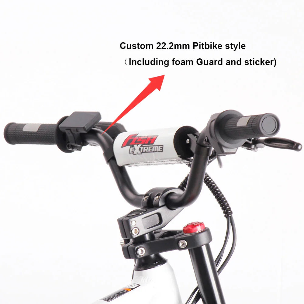 KTX-458963 20-Inch Kids Electric Balance Dirt Bike with 800W/1200W Motor and Hydraulic Brakes