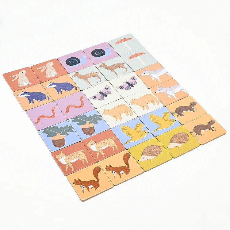 KTX-621523 Educational Flashcards for Kids - Sight Words & Memory Learning Cards