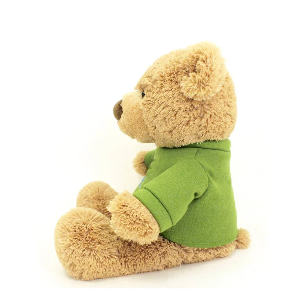 KTX-064787 Custom Soft Teddy Bear with Personalised T-Shirt