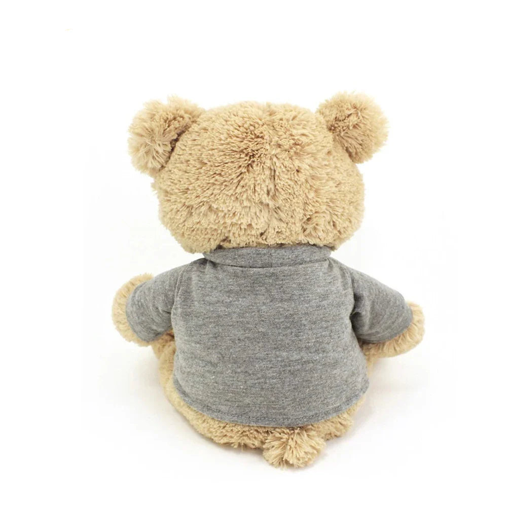 KTX-064787 Custom Soft Teddy Bear with Personalised T-Shirt