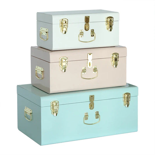 KTX-729491 Metal-Accented Storage Trunk Box for Organised Home Storage Solutions