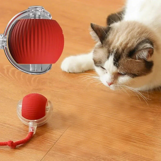 KTX-522451 Vibrant Silicone Cat Toy with Feather Teaser, Long Tail and Rolling Claw Ball for Kittens