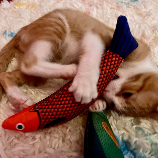 KTX-341651 Interactive Fish-Shaped Cat Kicker Toy with Catnip – Soft and Durable Chewing Toy