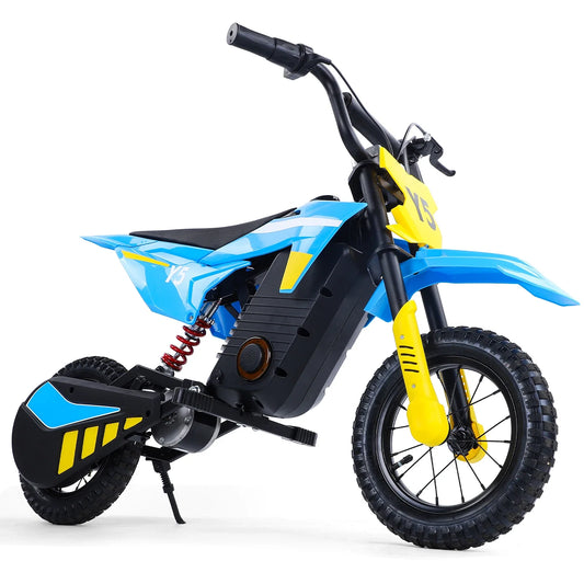 Electric Off-Road Motorcycle for Kids, 250W, 24V Mini E-Motorbike, Max Speed 23km/h, Steel and ABS, Various Colors