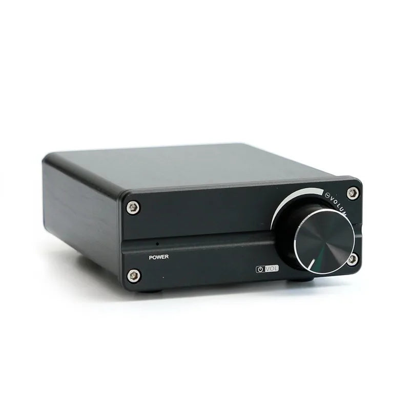 KTX-516179 100W Digital Subwoofer Speaker with TPA3116 Mono Amplifier for Home Audio Systems