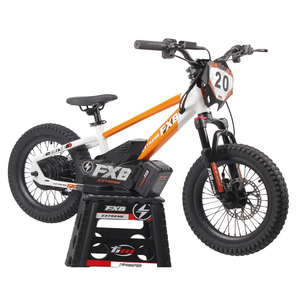 KTX-524499 16-Inch Electric Balance Bike with Brushless Hub Motor and Hydraulic Disc Brakes
