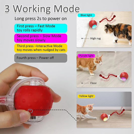 KTX-325843 Automatic Interactive Cat Toy Ball with Fast Rolling and Chirping for Indoor Play