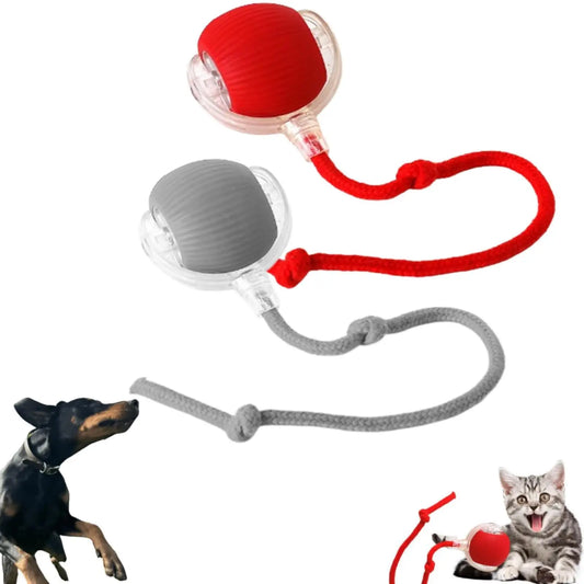 KTX-653523 Interactive Automatic Rolling Cat Toy Ball with USB Charging for Stimulating Play