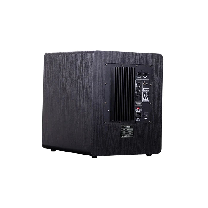 KTX-843859 10 Inch Bass Wood Subwoofer with 200W Amplifier Output