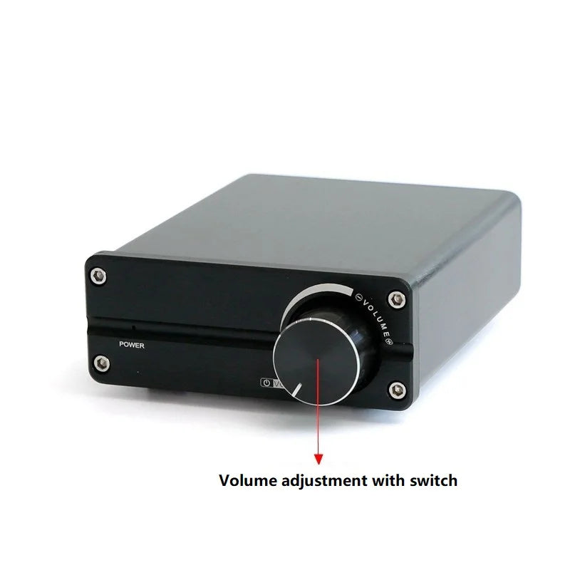 KTX-516179 100W Digital Subwoofer Speaker with TPA3116 Mono Amplifier for Home Audio Systems