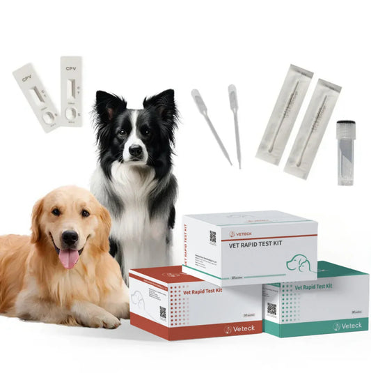 KTX-715603 Veterinary Diagnostic Kit for Rapid Testing of Ehrlichia, Anaplasma, and Babesia Canis in Dogs