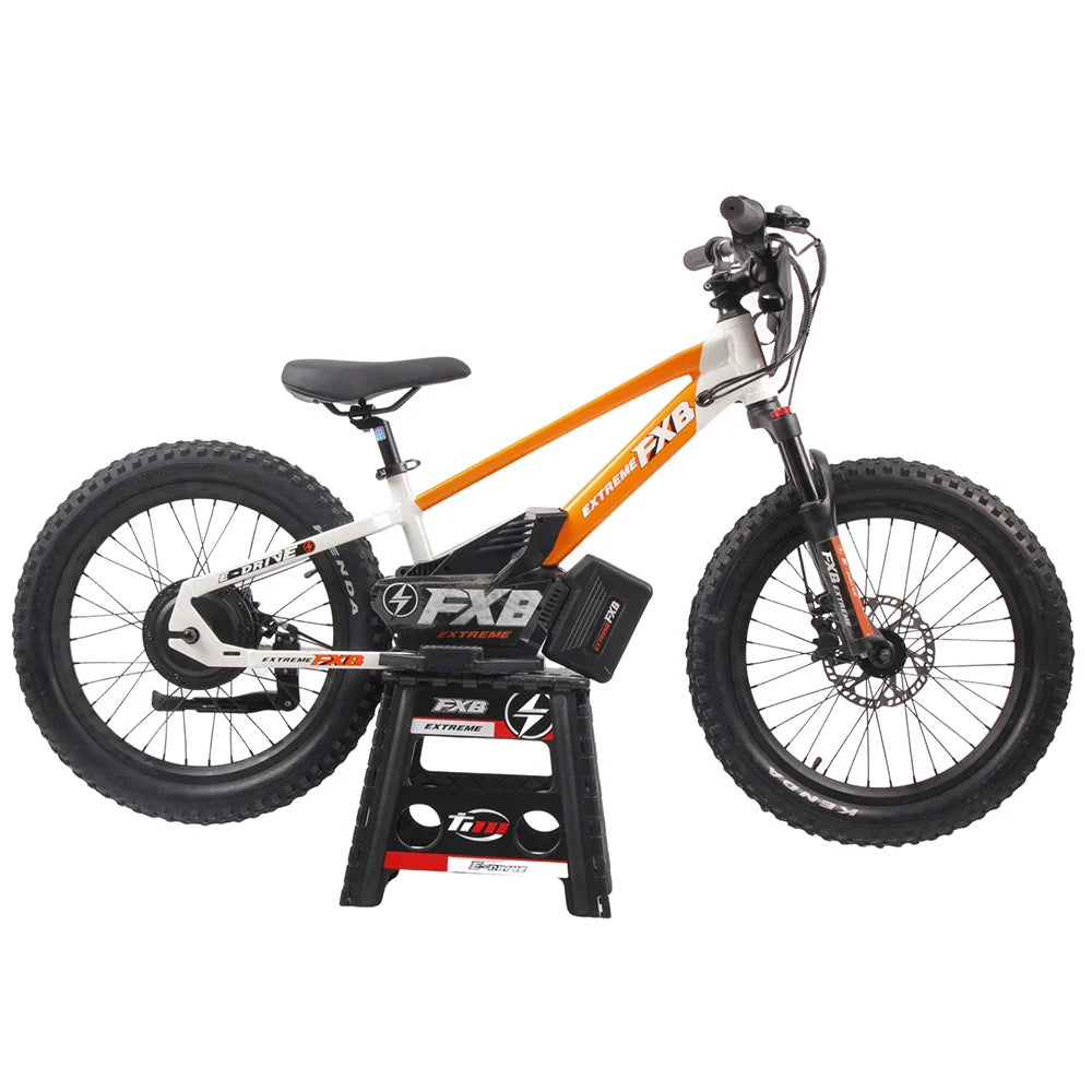 KTX-655571 Electric Balance Bike for Kids, 20-Inch, 800W Brushless Motor, 36V 10Ah Battery, Adjustable Hydraulic Front Fork, Max Speed 40km/h