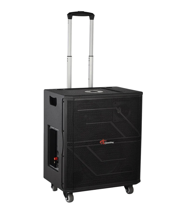 KTX-941011 10-Inch Portable Bluetooth Outdoor DJ Subwoofer Speaker with High-Power Bass for Parties