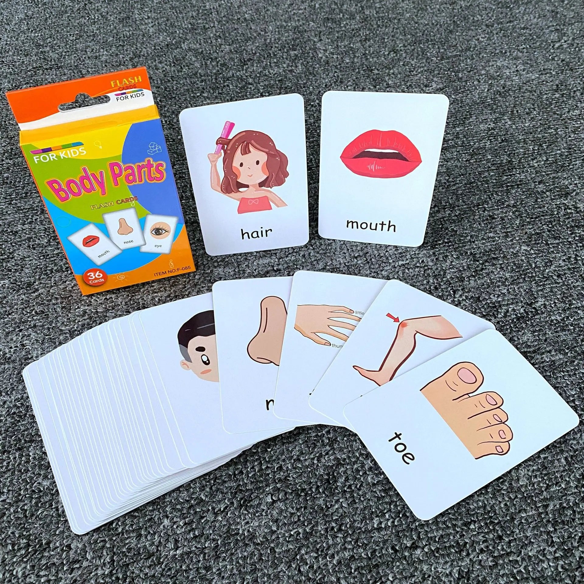 KTX-542483 Early Education Colour Flash Cards for Infant Cognitive Development and English Vocabulary Skills
