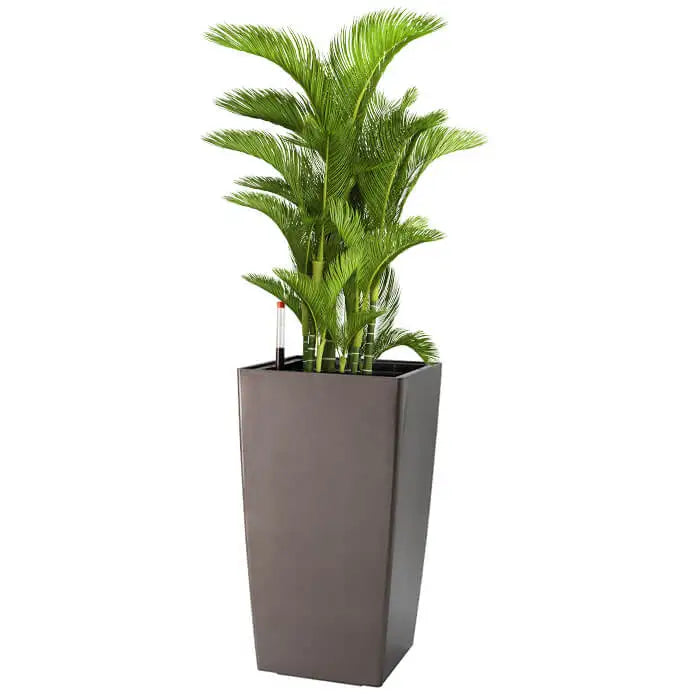 KTX-136979 Large Outdoor Plant Pots for Preserved Roses - Decorative Garden Planters