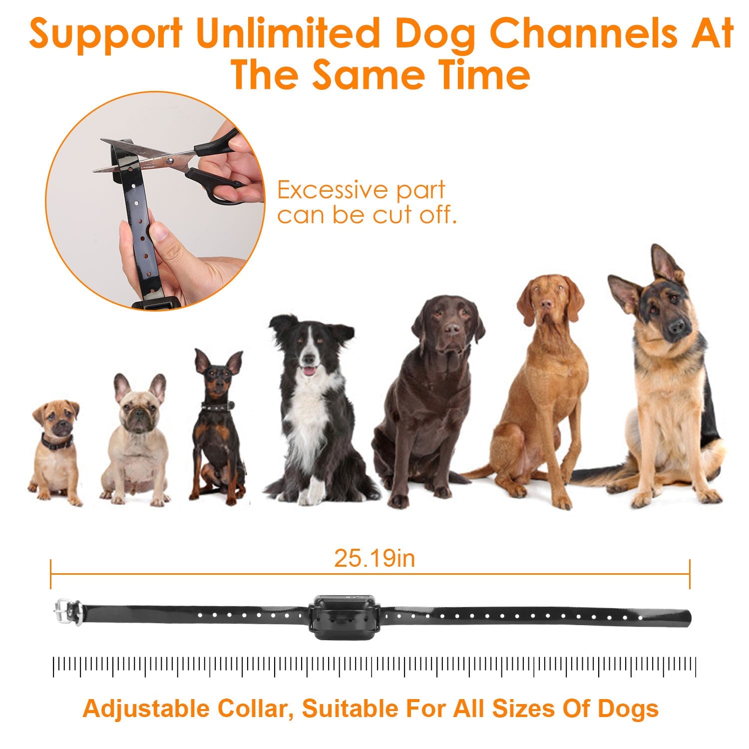 JMT-023178 Wireless Electric Dog Fence System with GPS Monitoring for Small to Large Dogs