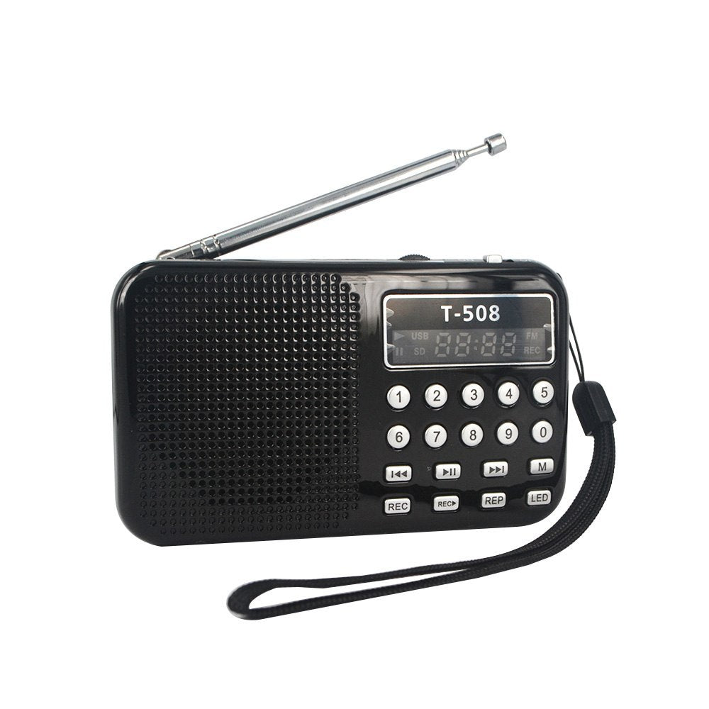 KTX-856851 Mini Portable Dual Band Rechargeable Stereo Speaker with LED Display and FM Radio, Compatible with Multiple Devices