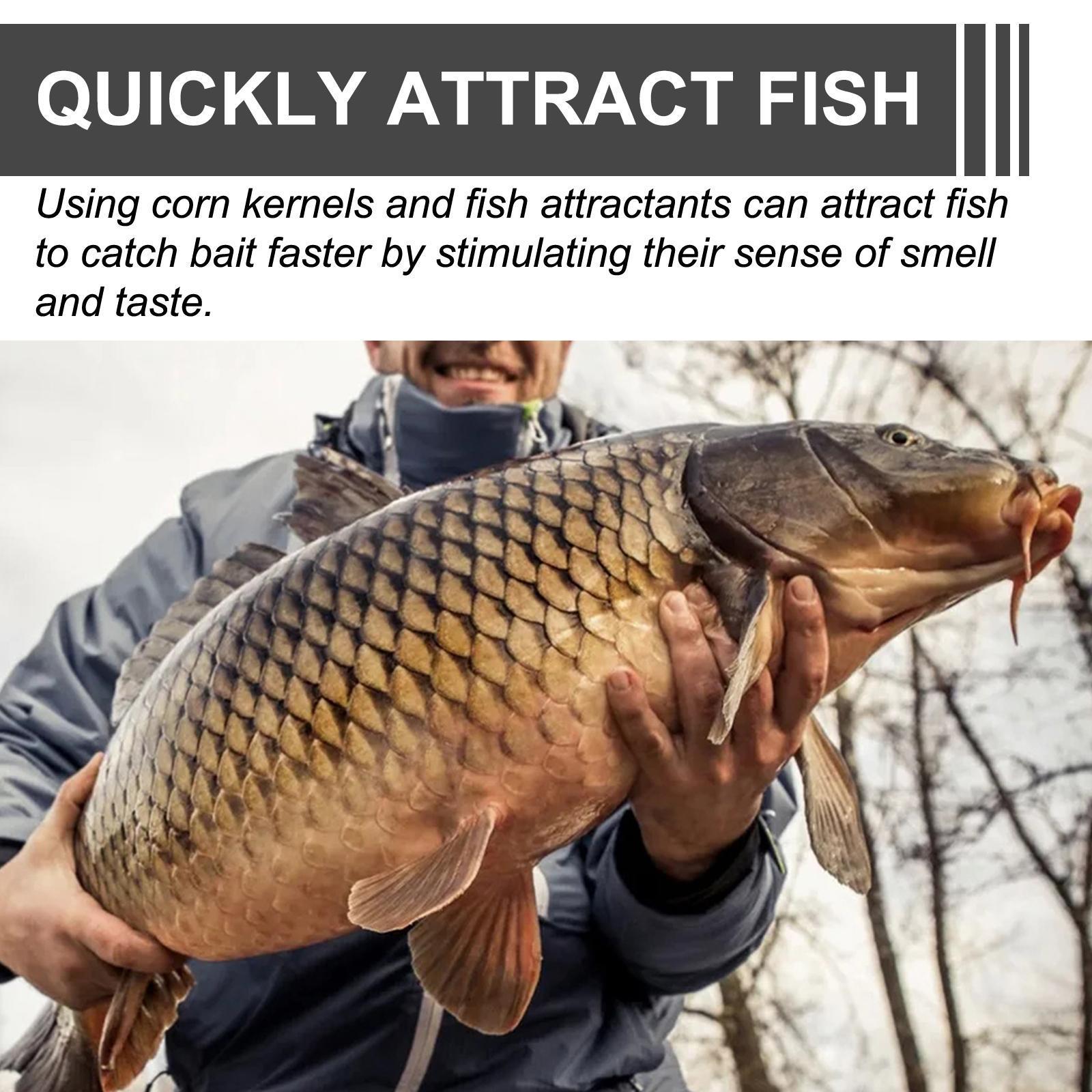 JMT-183370 Portable Corn Fish Bait for Effective Reservoir Fishing