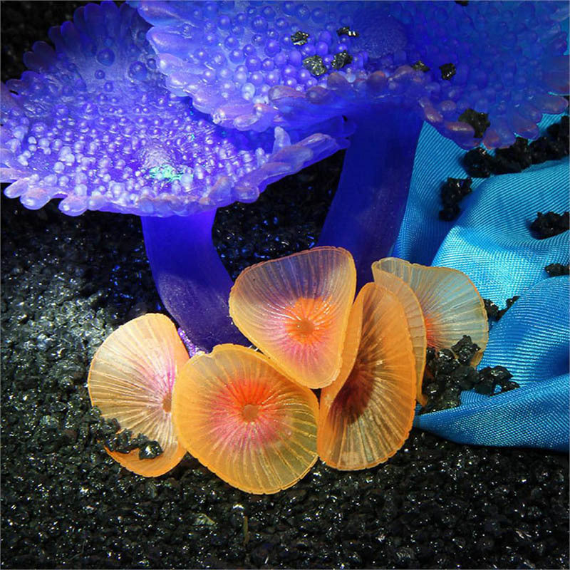 JMT-347210 Realistic Coral Simulation Plant for Aquarium Landscaping, No Fading, No Odor, 9.5x9.5x7cm