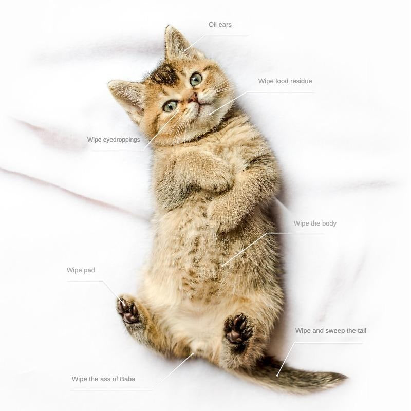 JMT-445962 Pet Deodorizing Bathing Wipes with Coconut Oil for Dogs and Cats - Hypoallergenic Grooming Wipes for Daily Care and Travel