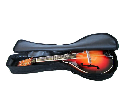 KTX-927763 Mandolin Bag Type A - Durable Single Carry Case for Instruments