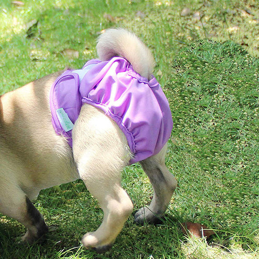JMT-560970 Dog Waterproof Menstrual Pants with Velcro Fastening