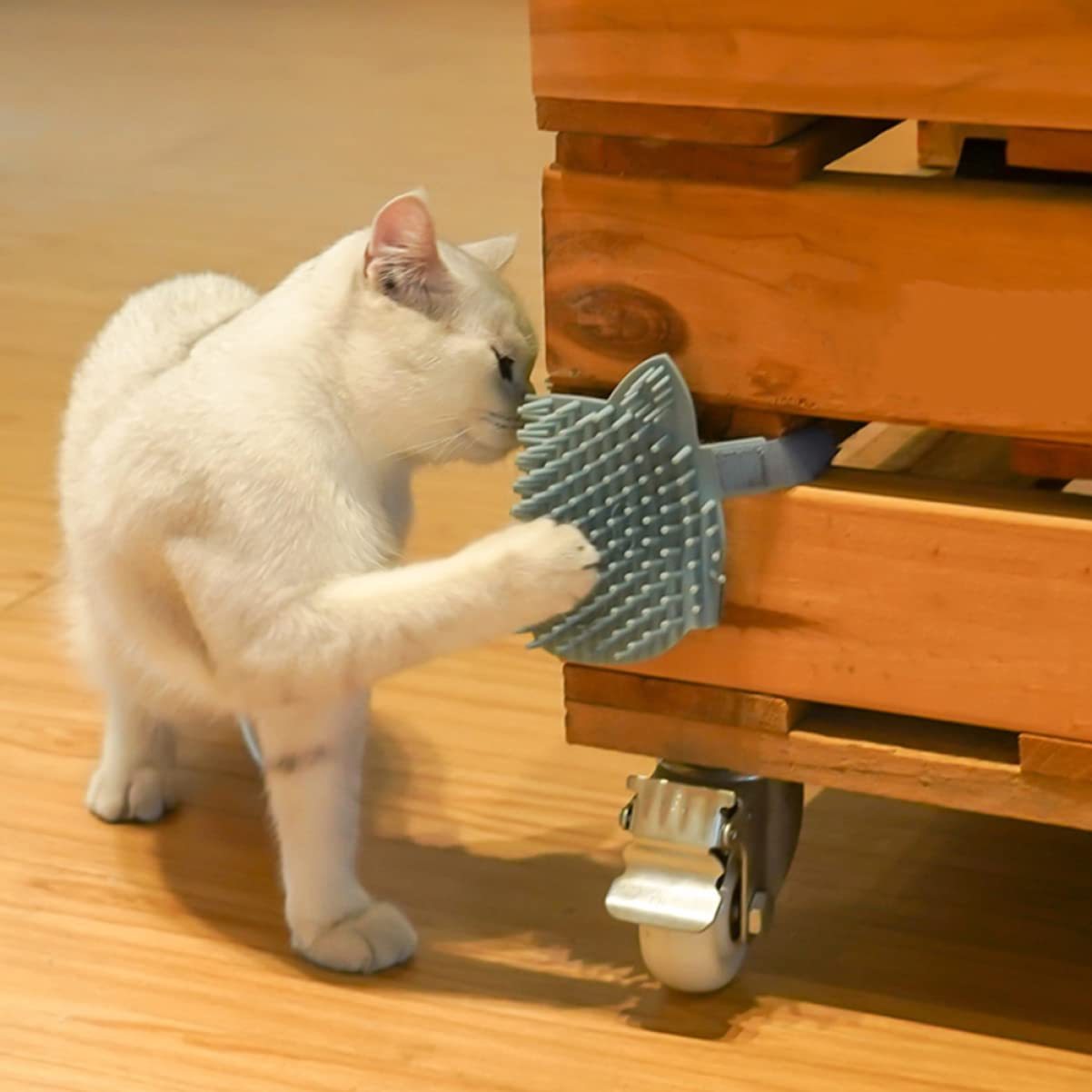 JMT-609802 Durable Cat Scratching Mat for Play and Claw Care