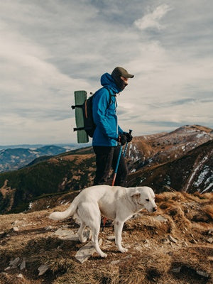 JMT-642570 Super Absorbent Microfiber Bath Towel for Dogs and Cats - Fast-Drying, Soft, and Ideal for Travelling and Grooming