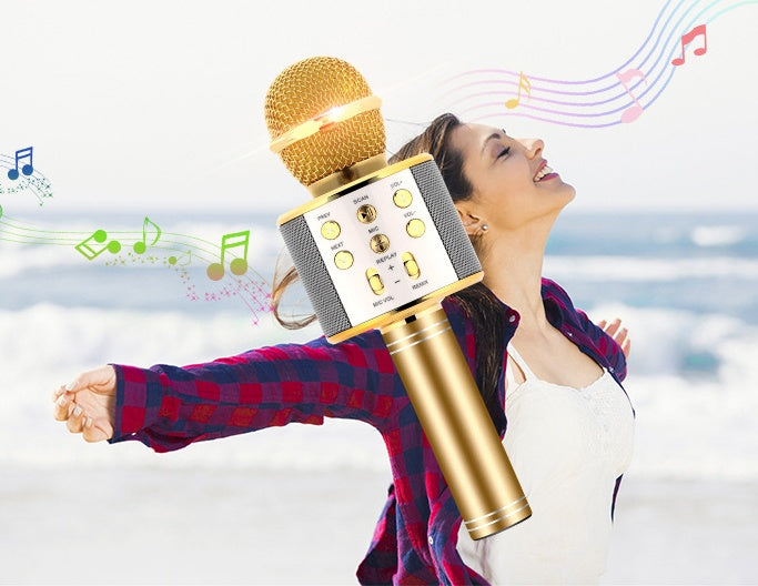 KTX-979219 Portable Bluetooth Wireless Microphone for Music Playback and Karaoke at Home