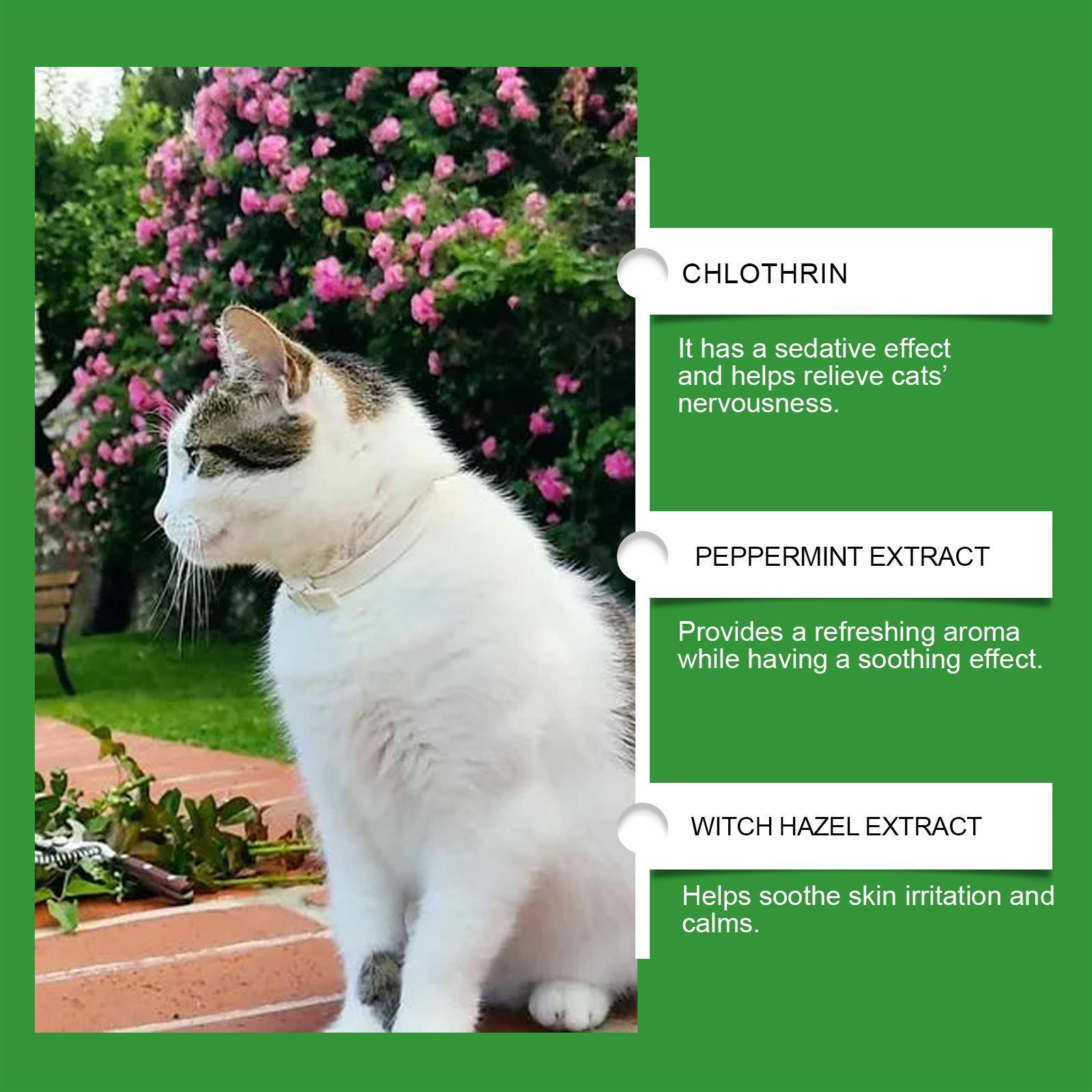 JMT-839178 Cat Emotional Care Set for Soothing and Calming During Estrus and Irritability