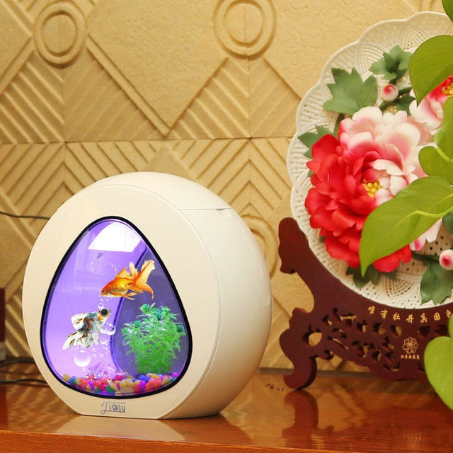 JMT-953994 Acrylic Desktop Fish Tank Aquarium - Small or Large Sizes Available