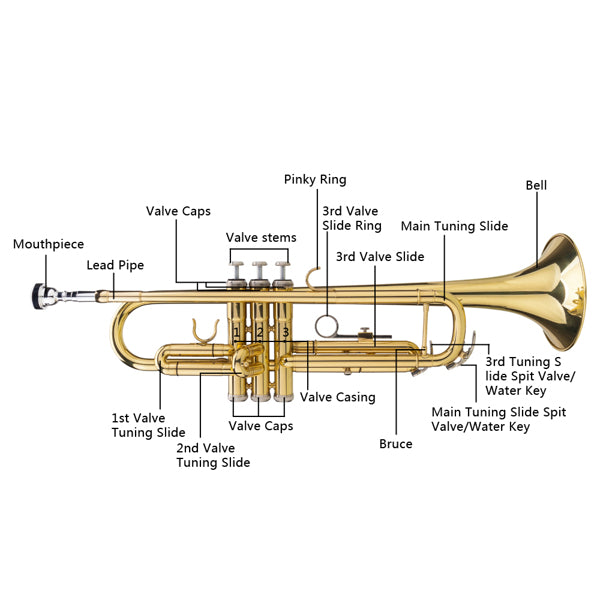 KTX-288211 Adjustable Golden Trumpet Gloves Set for Enhanced Performance