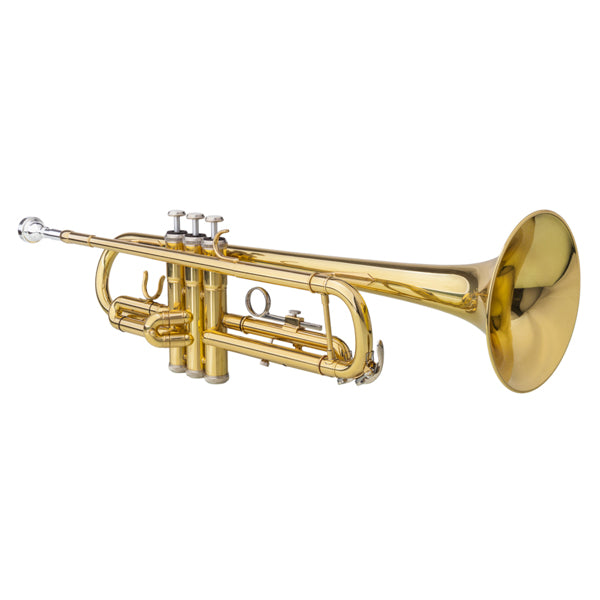 KTX-288211 Adjustable Golden Trumpet Gloves Set for Enhanced Performance