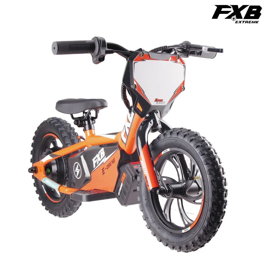KTX-001363 12" Kids Electric Balance Bike 250W 36V with Disc Brake and Aluminum Frame